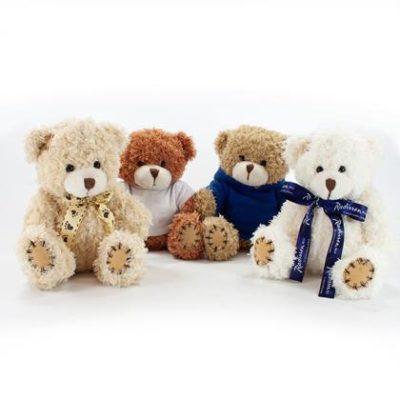 12cm Sitting Paw Bear with T-Shirt E1512803