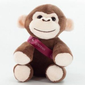 14cm Monkey - Sash E1512806