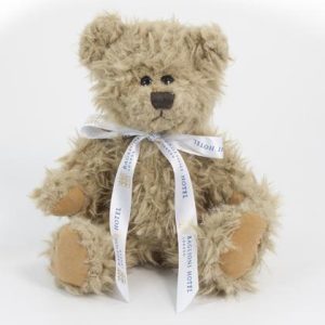 25cm Windsor Bear with Printed Bow E1512809